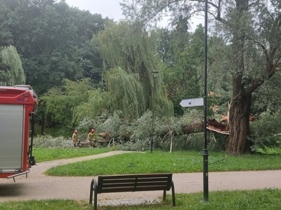 Czytelniczka: O włos od tragedii  [ Wiadomości ]