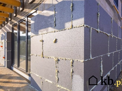 Architekci zdradzają: ten materiał wygrywa ze styropianem i wełną!