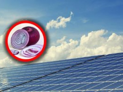 Cebula ma pomóc fotowoltaice. Jej barwnik ma funkcje ochronne