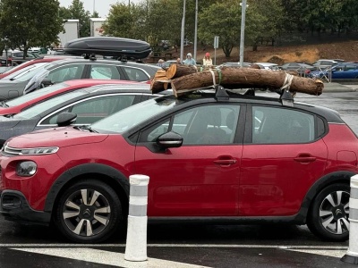 Trzymajcie się, idzie zima. Ptaki odlatują a Citroën C3 wozi opał