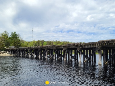 Skoczył do wody nad rozlewiskiem Wisły. 