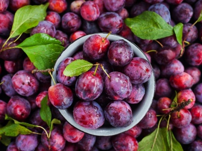 Ile kalorii ma banan, jabłko, arbuz, rodzynka? Sprawdź i porównaj. Oto kalorie pod lupą