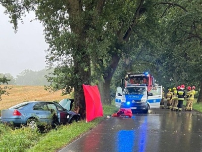 Auto wbiło się w drzewo. Nie żyje 30-letni obcokrajowiec