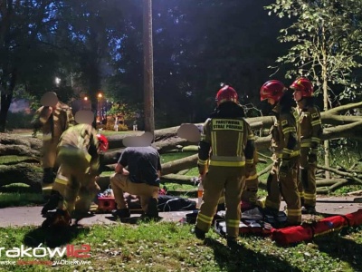Kraków. Drzewo przewróciło się na kobietę