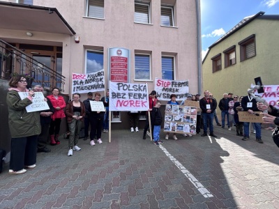 Prokuratura zbada fermę norek w Sroczynie