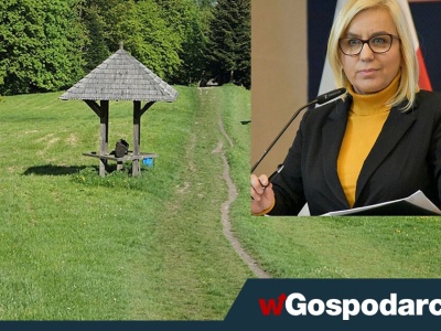 Aż 43,7 mln strat finansowych Parków Narodowych. 