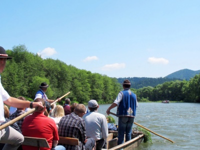 Nagle wyrosła na słowackim brzegu Dunajca. Flisacy podnieśli alarm