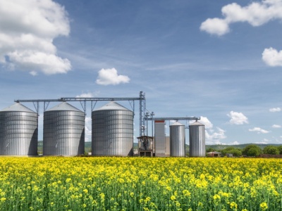 Finał megafuzji Bunge z Viterra. Louis Dreyfus Company przejmuje ZT w Bodaczowie