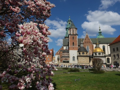Ceny straszą nie tylko nad morzem. Wawel nie ma litości dla turystów