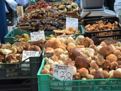 Kupujesz grzyby? Na to musisz zwracać uwagę. Błędy sprzedawcy mogą odbić się na twoim zdrowiu