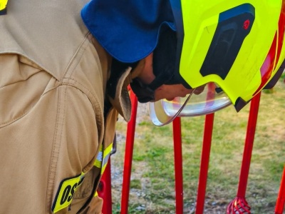 Mały piesek wpadł w tarapaty. Uratowali go strażacy