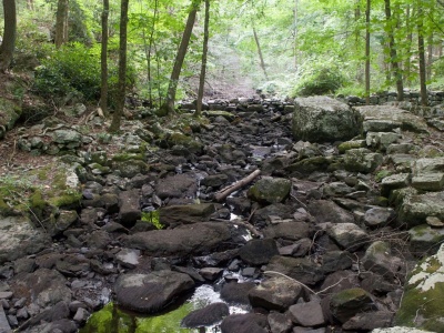 Susza w gminie Żegocina. Wodę transportowali żołnierze WOT
