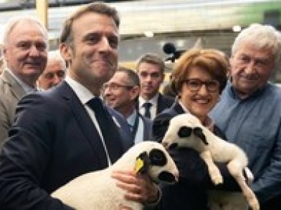 KE zatwierdzi umowę z Mercosur. Polska zostanie sama na placu boju?