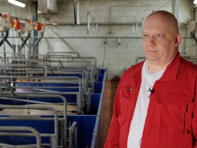 IF 2025: 37 prosiąt od jednej lochy? Rolnik z Wielkopolski pokazuje, jak to możliwe