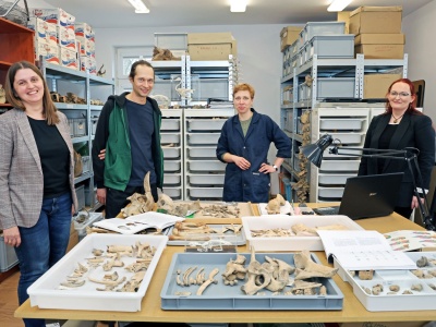 Naukowcy z UMK zaczynają badania wielkich epidemii. Kapsułą czasu są zęby i kości [wideo]