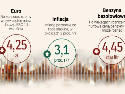 Analitycy przewidzieli skromny ruch RPP. Co z inflacją i płacami? Prognozy gospodarcze „Rz”