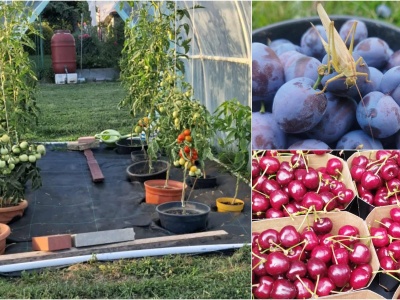 Wakacje poświęcili na zarobek. Tarnowscy studenci opowiadają o pracy sezonowej