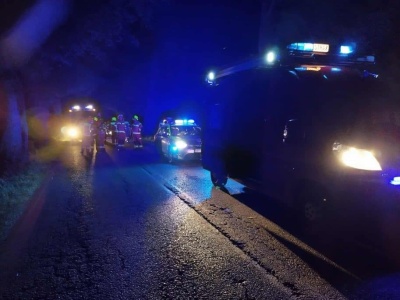 Samochód osobowy rozbił się na drzewie, kierowca zdołał wyjść o własnych siłach