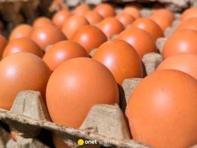 Jajka będą drożeć do świąt Bożego Narodzenia. Eksperci wyjaśniają przyczyny