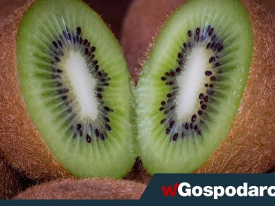 Sięgaj po ten owoc, kiedy czujesz się pełny