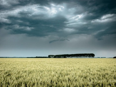 IMGW ostrzega: burze z silnymi opadami deszczu w znacznej części kraju