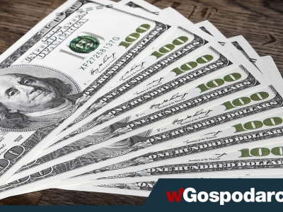 Wystąpienie prezesa NBP, słabsze dane ADP