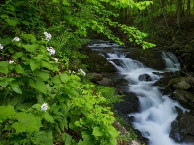 Ten wodospad był kiedyś w innym miejscu. Wyjątkowa atrakcja Bieszczad