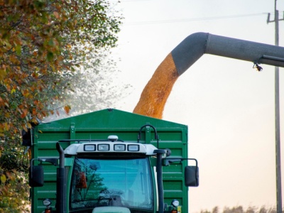 670 zł za suchą kukurydzę z nowych zbiorów. Aktualne ceny zbóż, kukurydzy i rzepaku z 4 września