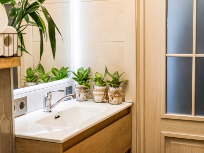 Te rośliny wciągają wilgoć jak gąbka. Pleśń nie ma z nimi szans. Są idealne do łazienki