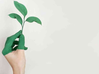 Jak zadbać o ekologię w codziennym życiu bez wielkich wyrzeczeń?