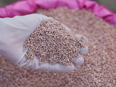 Znaczenie potasu w żywieniu roślin. Jakie nawozy potasowe wybrać?