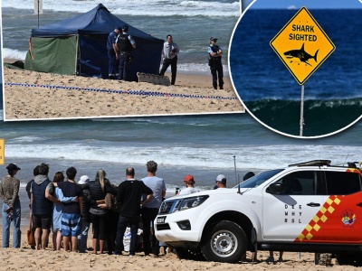 Przed śmiercią rozpaczliwie błagał: nie gryź mnie. Stracił obie nogi. Koszmar przy plaży