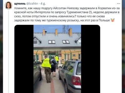 Aktywistka Pussy Riot zatrzymana na polskiej granicy. Na polityczny wniosek Turkmenistanu