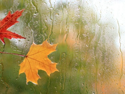 Taka będzie pogoda w drugiej połowie września 2025. Szykuje się duża zmiana, Polacy muszą wiedzieć