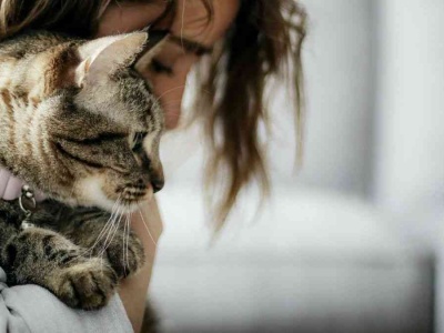 Nie tylko urokliwe. Koty to domowi terapeuci