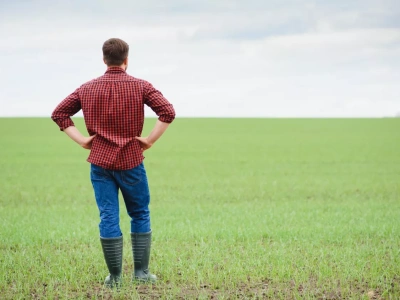 Wypowiedzenie leasingu z winy rolnika: co robić?