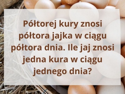Przypadek z jajkiem i kurą. Nietypowa zagadka na logiczne myślenie