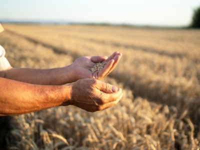 Pieniądze na rolnictwo. Ostatni dzwonek na wykorzystanie środków