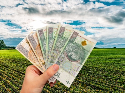 Rolnicy zapłacą więcej czy mniej? Rząd zmienia dopłaty do ubezpieczenia upraw