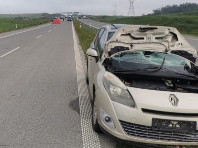 Nie zdążył zareagować. Ślady tragedii widać na kremowym renault