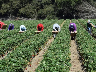 Tylu Polaków wyjeżdża za granicę do pracy. Czy nadal opłaca się jechać do Niemiec?