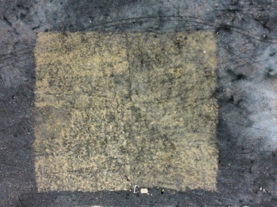 W PGG przetestowano nową metodę rekultywacji. Robi wrażenie