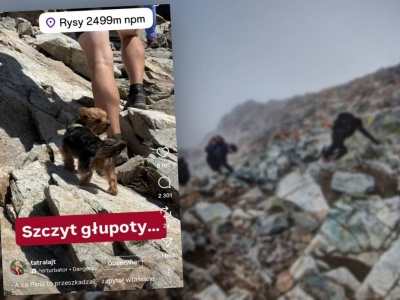 Wspinał się na najwyższy szczyt Polski z... yorkiem. 