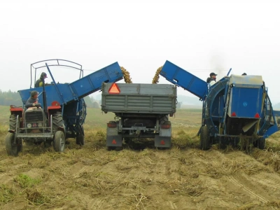Cena ziemniaków szokuje. 45 gr dla rolnika, a w sklepie nawet 6 razy więcej