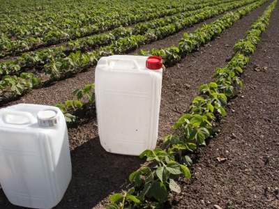 Rekordowa zbiórka opakowań po ś.o.r. w Systemie PSOR