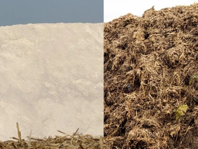 Wapno czy obornik? Czym nawozimy pole jako pierwszym?