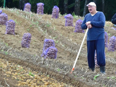 Łukaszenka zaskoczył prezentami. Przywódcy dostali worki ziemniaków