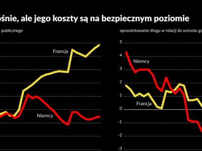 Francja i Polska jadą na podobnym wózku. Nie wiadomo, kto rządzi