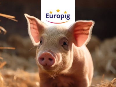 Nowy trend w hodowli trzody: tucz kontraktowy