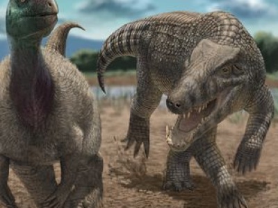 Był zagrożeniem dla dinozaurów. Jego potomkowie żyją w USA